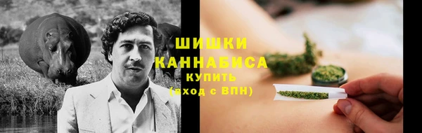 метадон Алексин