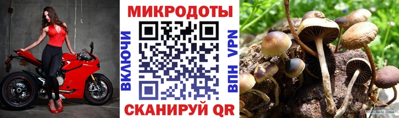 Псилоцибиновые грибы ЛСД  магазин    Карабаш 